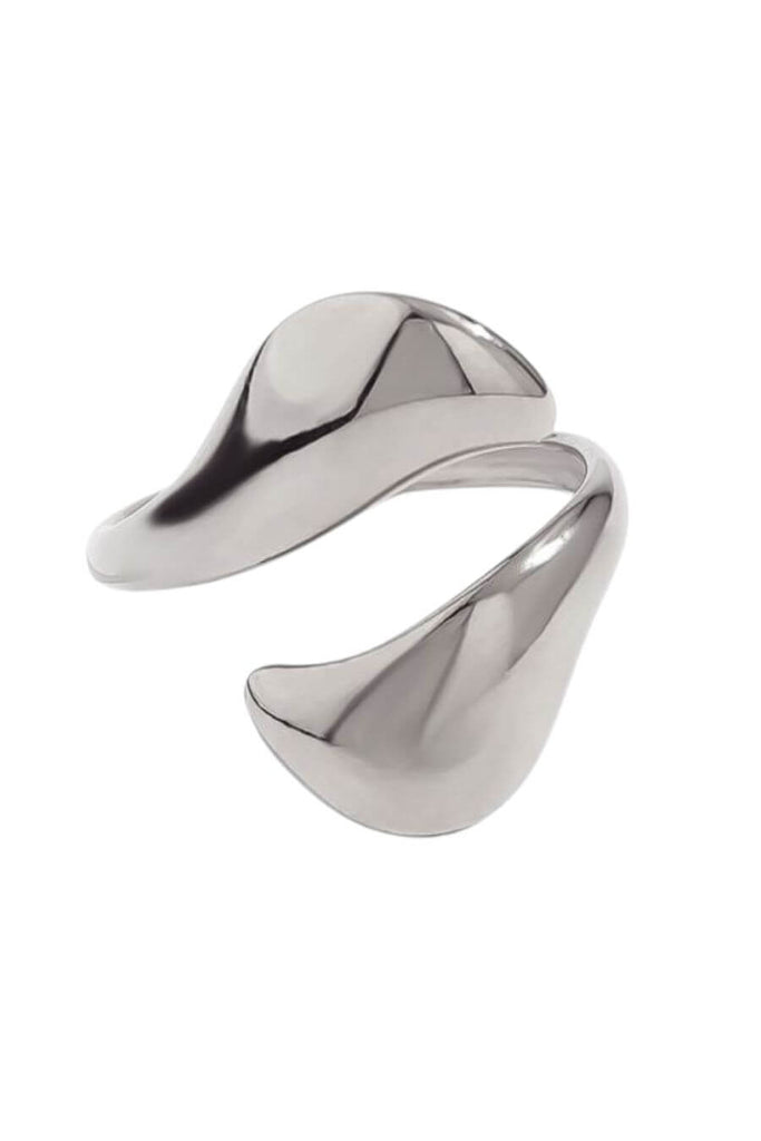 Rings For Women - Dolphin Ring Silver- Fancy Pants